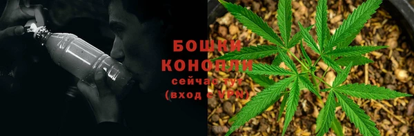 твердый Абаза