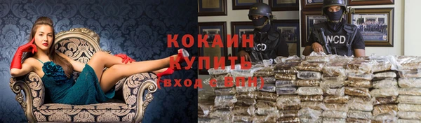 твердый Абаза