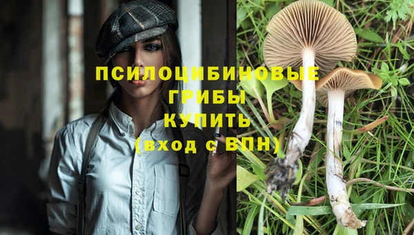 твердый Абаза