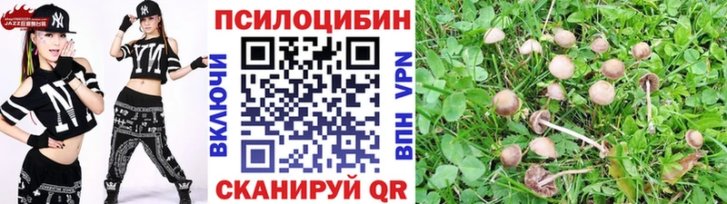 Псилоцибиновые грибы Magic Shrooms Костомукша