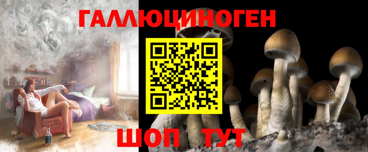 Псилоцибиновые грибы MAGIC MUSHROOMS Костомукша